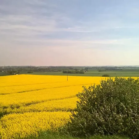 4 Person In Store Fuglede-by Traum *