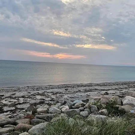 4 Person In Store Fuglede-by Traum *