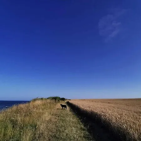 4 Person In Store Fuglede-by Traum * Store Fuglede