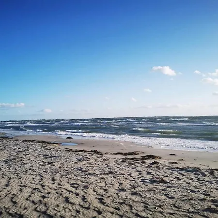 Tatil Evi 4 Person In Store Fuglede-by Traum